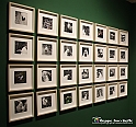 VBS_1328A - Castello di Miradolo - Mostra Oltre il giardino l'Abbecedario di paolo Pejrone